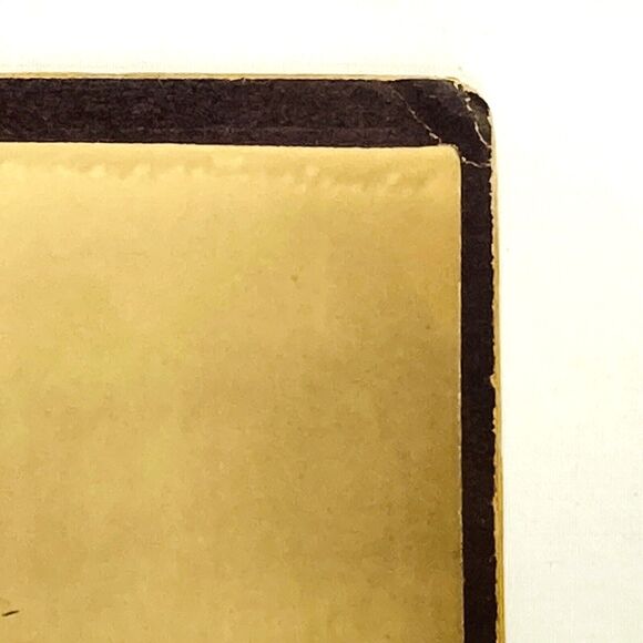 Cabinet Card Photo Victorian Woman 1800s Dress Studio Central Square Adams NY - Picture 7 of 12